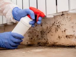 Trusted Titusville, FL Mold Prevention & Removal  Experts